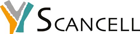 Scancell Holding plc